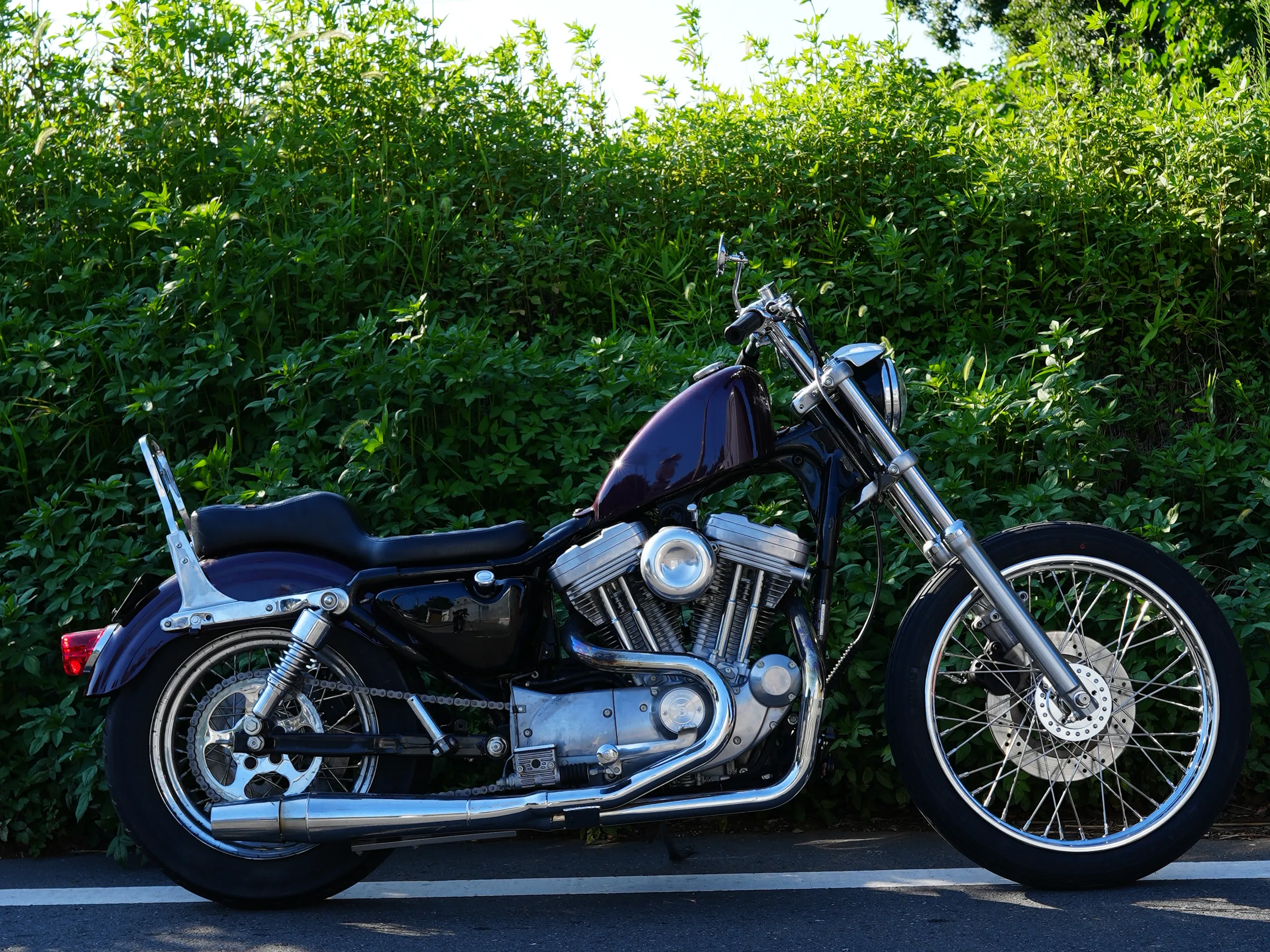 ‘98XLH883 SPORTSTER  写真1