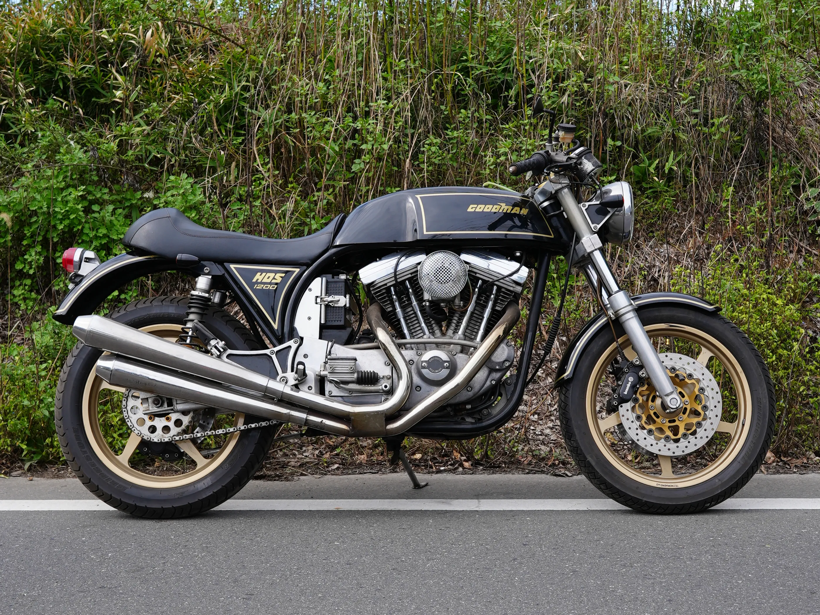 HDS1200 GOODMAN 写真1