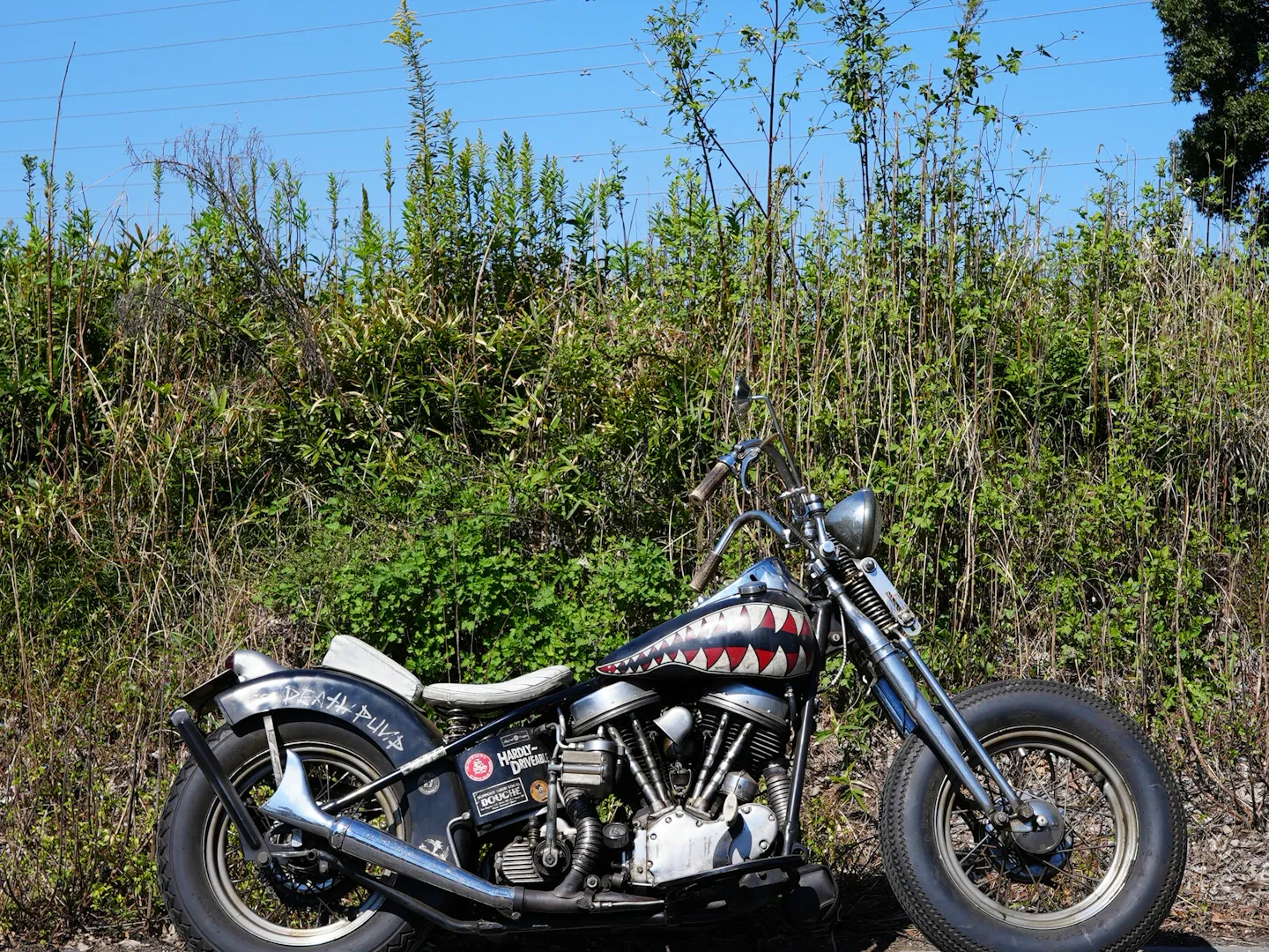 1965 FLH PANHEAD